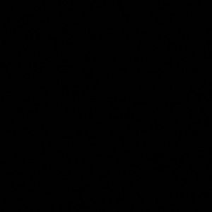 Meet your Posher, Noah